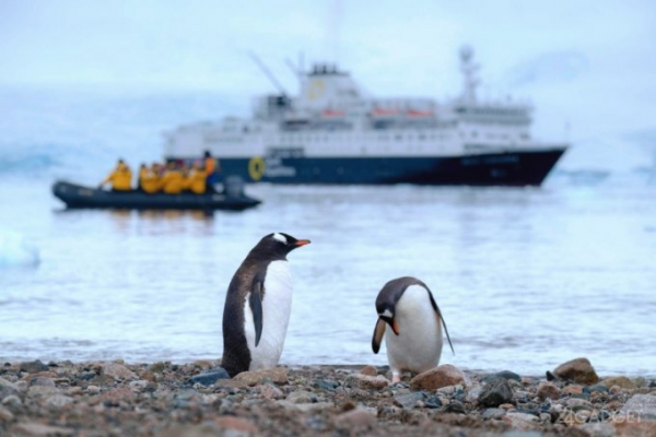 OneWeb запустила скоростной спутниковый интернет в Антарктиде