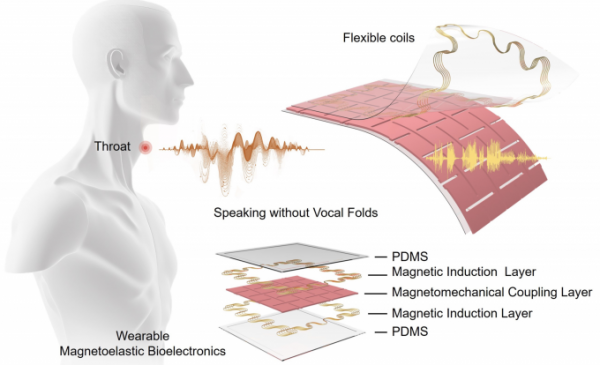 Учёные создали пластырь, способный восстановить функцию голоса у людей с нарушениями голосовых связок