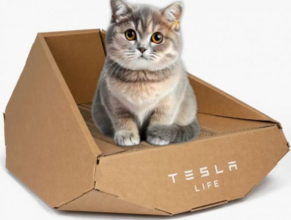 Cпециальная версия Tesla Cybertruck из картона для котиков (2 фото)