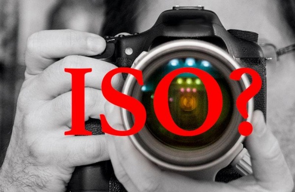 ISO – что это такое в фотоаппарате: значения светочувствительности для настройки и использования