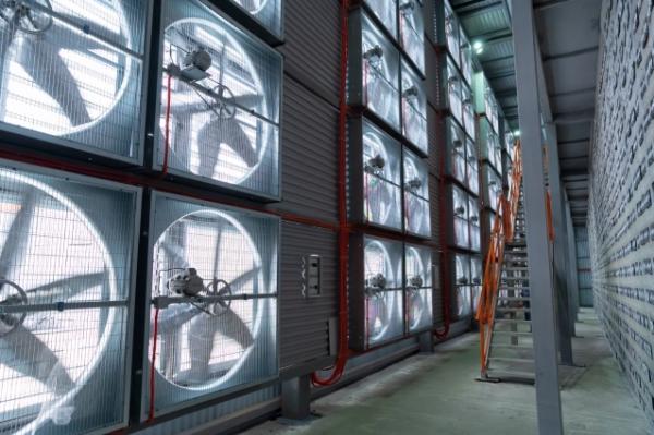 
Создание цифрового хаба. Россия будет строить дата-центры в странах БРИКС    