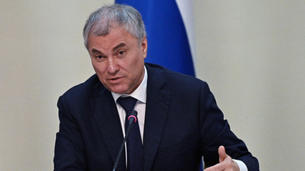 Володин запустил опрос на фоне критики электронных дневников Володин запустил опрос на фоне критики электронных дневников