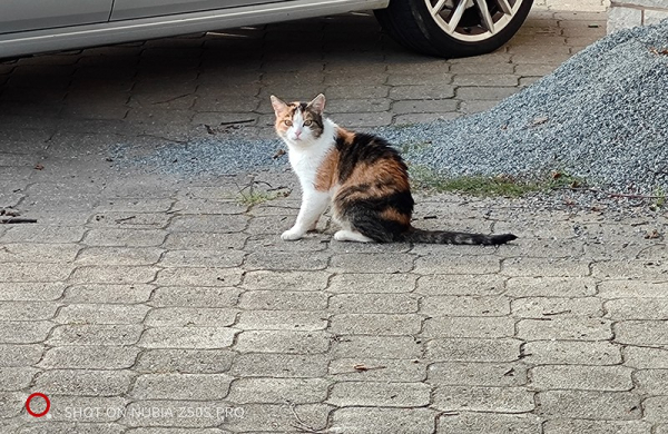 Обзор Nubia Z50S Pro: премиального смартфона с уникальным дизайном и оснащением