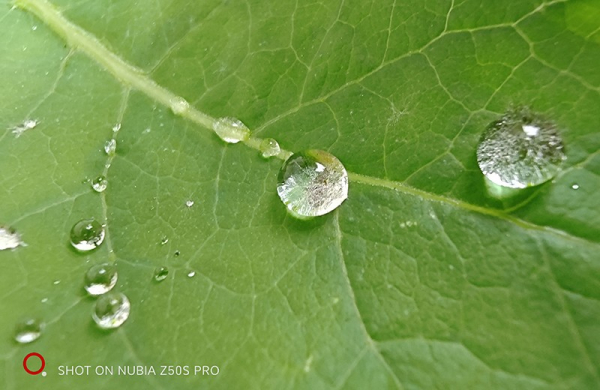 Обзор Nubia Z50S Pro: премиального смартфона с уникальным дизайном и оснащением