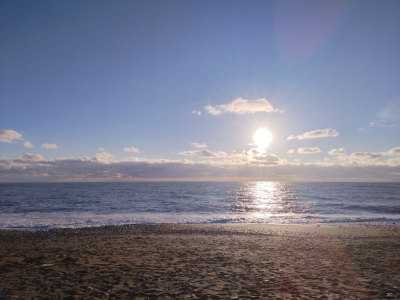 Обзор смартфона HUAWEI nova Y72s: у меня тоже есть новая кнопка! 