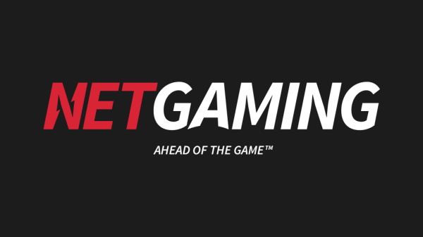 Что делать, если пришло СМС от NetGaming об активации