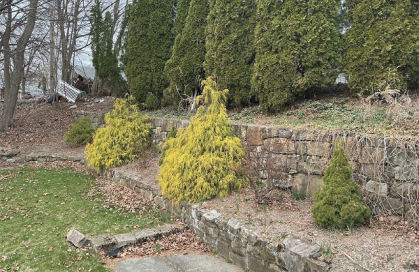 Обзор Apple iPad 11 (2025): почти лучшего планшета для повседневных задач