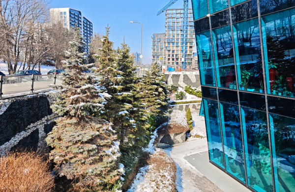 Обзор Xiaomi 15: топового компактного смартфона с невероятной производительностью