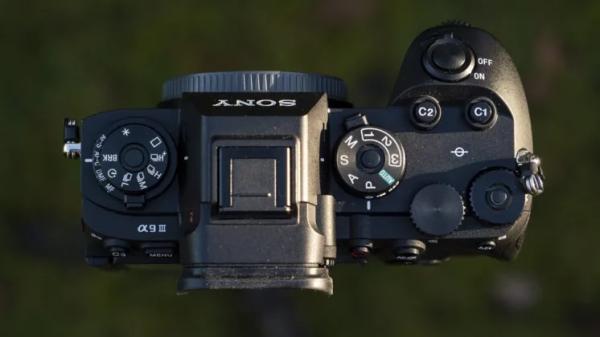 Лучшая камера для съёмки дикой природы в 2025 году: наш топ-выбор от Canon, Nikon, Sony и других