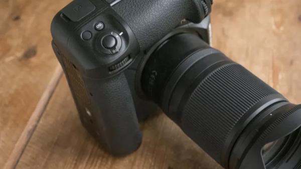 Лучшая камера для съёмки дикой природы в 2025 году: наш топ-выбор от Canon, Nikon, Sony и других