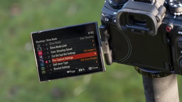 Лучшая камера для съёмки дикой природы в 2025 году: наш топ-выбор от Canon, Nikon, Sony и других
