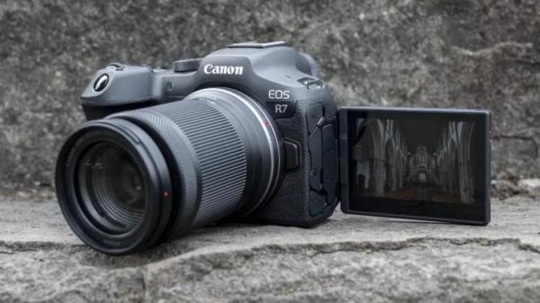 Лучшая камера для съёмки дикой природы в 2025 году: наш топ-выбор от Canon, Nikon, Sony и других