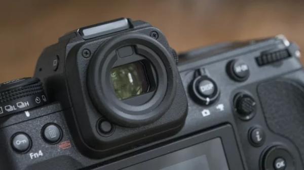Лучшая камера для съёмки дикой природы в 2025 году: наш топ-выбор от Canon, Nikon, Sony и других
