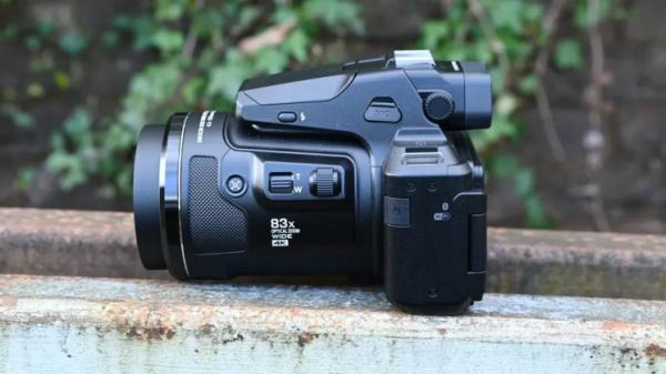 Лучшая камера для съёмки дикой природы в 2025 году: наш топ-выбор от Canon, Nikon, Sony и других