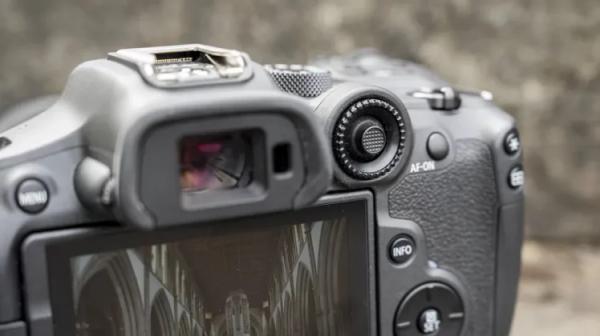 Лучшая камера для съёмки дикой природы в 2025 году: наш топ-выбор от Canon, Nikon, Sony и других