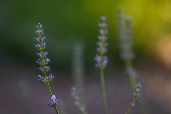Лучшая камера стоимостью менее 100 тыс. руб. в 2025 году: лучшие предложения для каждого любителя фотографии