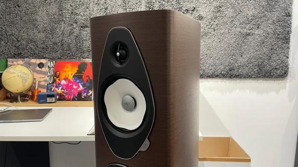 Обзор Sonus Faber Sonetto V G26: стильные и мощные колонки