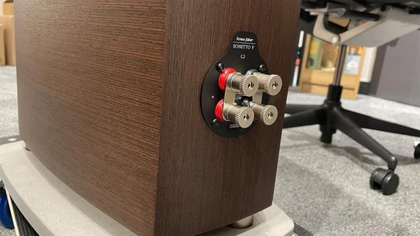 Обзор Sonus Faber Sonetto V G26: стильные и мощные колонки