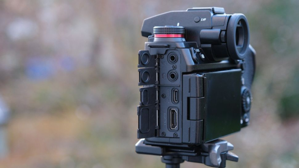 Panasonic Lumix S1R II и S5 IIX: выбор между мощью и гибкостью Panasonic Lumix S1R II и S5 IIX: выбор между мощью и гибкостью