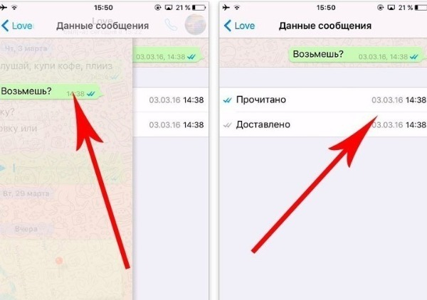 Секреты выживания в группах WhatsApp &mdash; 5 неизвестных функций групповых чатов