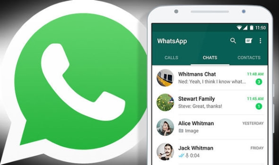 Секреты выживания в группах WhatsApp &mdash; 5 неизвестных функций групповых чатов