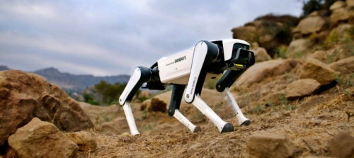 Китайская Dobot представила домашнего робота-собаку Rover X1 &ndash; это грузчик, учитель и питомец в одном