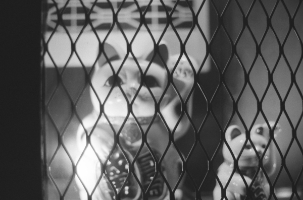 Обзор AgfaPhoto APX 400: доступная монохромная пленка с винтажным шармом