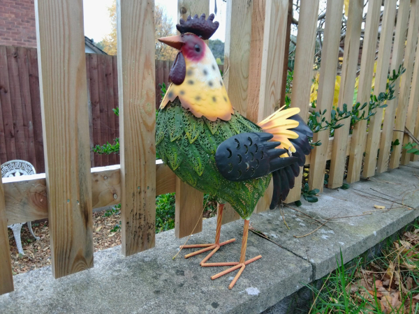 Обзор Kodak PixPro C1 — путешествие в прошлое Обзор Kodak PixPro C1 — путешествие в прошлое