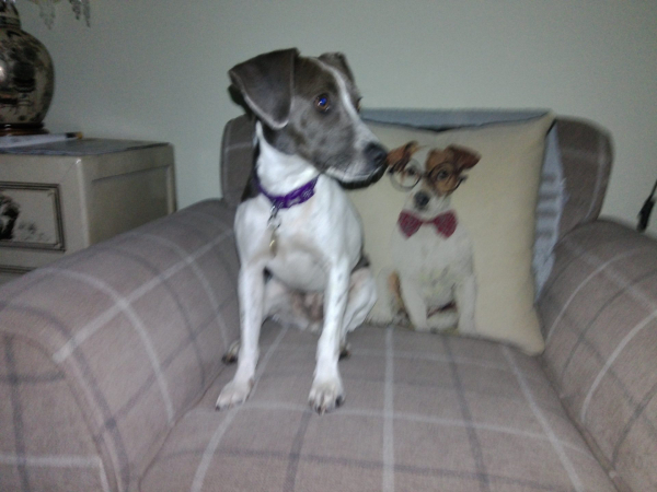 Обзор Kodak PixPro C1 — путешествие в прошлое Обзор Kodak PixPro C1 — путешествие в прошлое