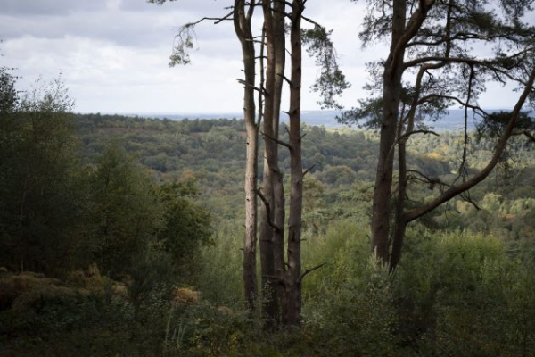 Обзор Nikon Z 24-70mm f/2.8 S II — 5-звездочный объектив по всем показателям Обзор Nikon Z 24-70mm f/2.8 S II — 5-звездочный объектив по всем показателям