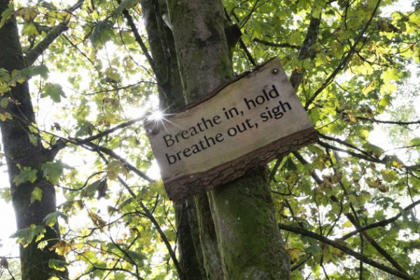 Обзор Nikon Z 24-70mm f/2.8 S II — 5-звездочный объектив по всем показателям Обзор Nikon Z 24-70mm f/2.8 S II — 5-звездочный объектив по всем показателям