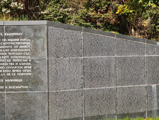 Обзор Nubia Z80 Ultra: лучше, но все еще не идеально Обзор Nubia Z80 Ultra: лучше, но все еще не идеально