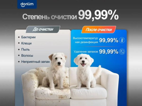 Наконец нашёл лучший подарок на Новый год: машинка Donlim очищает всё &mdash; от ковров и обуви до штор и мебели