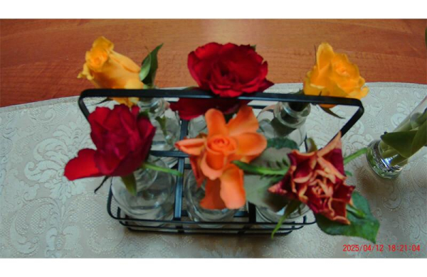 Обзор SJCAM SJ20: уникальной экшн-камеры с двумя объективами