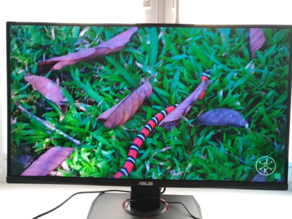 Обзор &mdash; Монитор Asus TUF Gaming VG289Q
