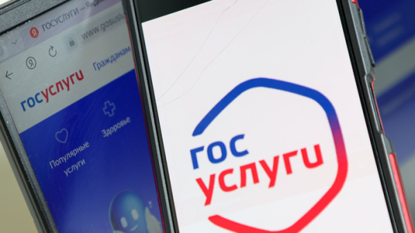 На "Госуслугах" появится возможность сообщить о кибермошенничестве