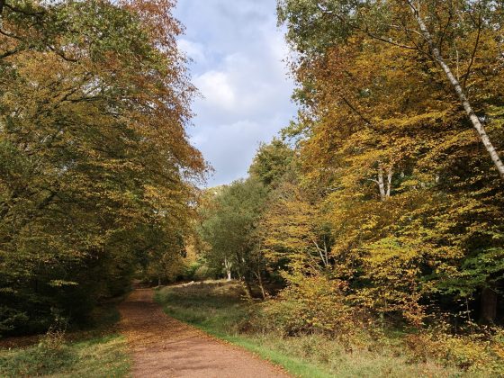 Обзор Oppo Find X9 Pro: это лучший iPhone на Android