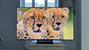 Обзор Sony Bravia 5: самый доступный Mini LED с превосходной картинкой