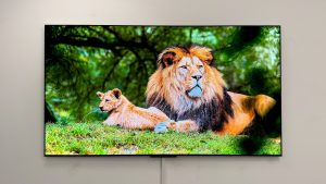 Обзор Sony Bravia 5: самый доступный Mini LED с превосходной картинкой