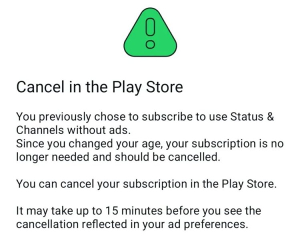 Платная подписка в WhatsApp: зачем она нужна и будет ли работать, если ты из России