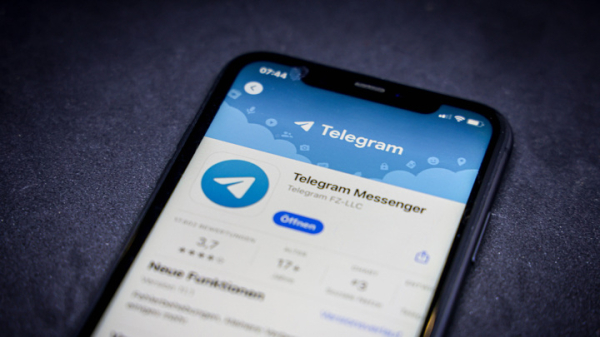 Сенатор Шейкин: меры против Telegram вводятся последовательно