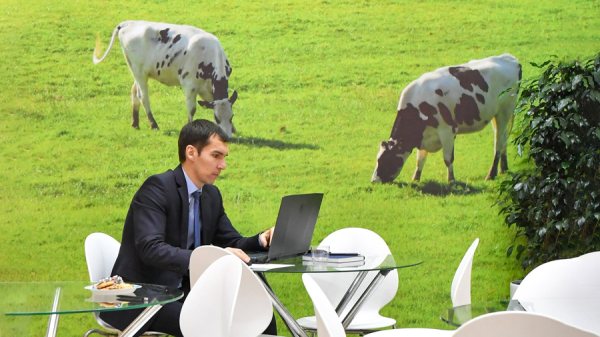 День компьютерщика: история праздника и традиции поздравлений