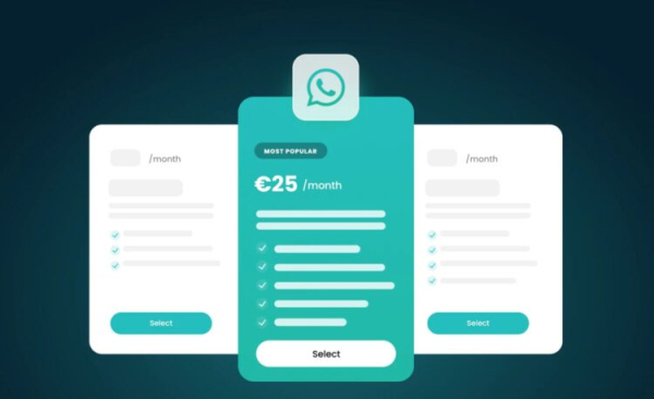Платная подписка в WhatsApp: зачем она нужна и будет ли работать, если ты из России