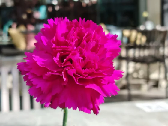 Обзор Honor Magic8 Lite: проработал три дня на заряде от батареи