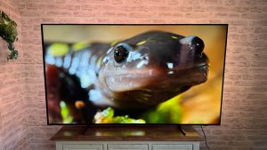 Обзор TCL C8L или QM8L: новейший &laquo;убийца OLED&raquo;