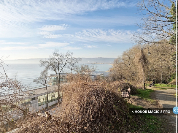 Сравнение фото, снятых на Honor Magic8 Pro и iPhone 17 Pro: примеры снимков&nbsp;