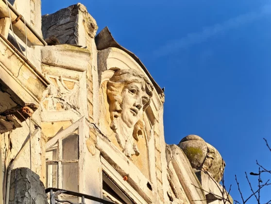 Тест камер: Honor Magic 8 Pro и Samsung Galaxy S25 Ultra