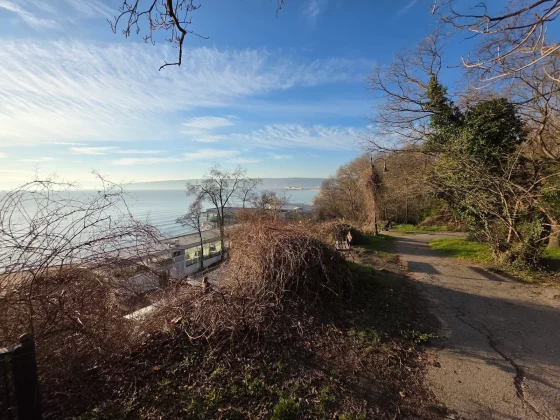 Тест камер: Honor Magic 8 Pro и Samsung Galaxy S25 Ultra