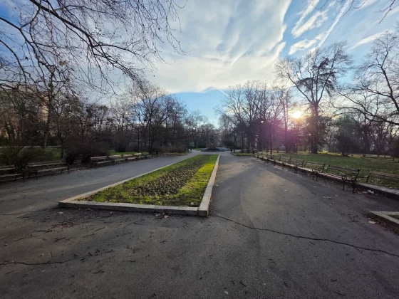 Тест камер: Honor Magic 8 Pro и Samsung Galaxy S25 Ultra