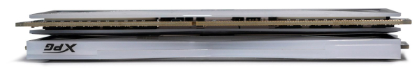 Обзор и тест ADATA XPG SPECTRIX D60G DDR4-3200 (AX4U320038G16A-DT60)